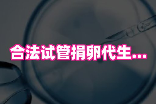 南京助孕网 4